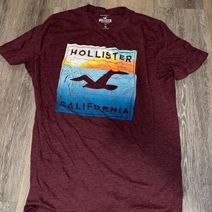 mens hollister shirt